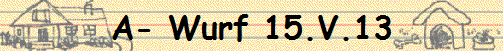A- Wurf 15.V.13