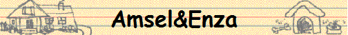 Amsel&Enza