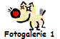 Fotogalerie 1