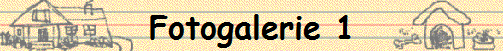 Fotogalerie 1