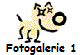 Fotogalerie 1
