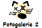 Fotogalerie 2