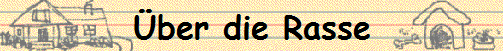 �ber die Rasse
