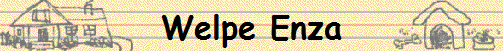 Welpe Enza