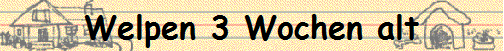 Welpen 3 Wochen alt