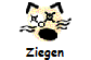 Ziegen